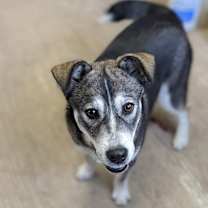 Thumbnail photo of Kala #1