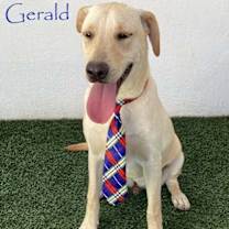 Thumbnail photo of Gerald #1