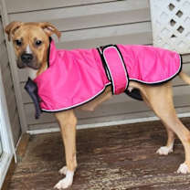 Thumbnail photo of Lacey #3