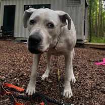 Thumbnail photo of Bea #2