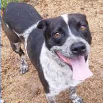 Thumbnail photo of Church #1