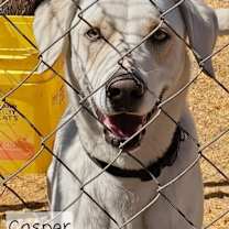 Thumbnail photo of Casper #1