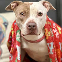 Thumbnail photo of Selah #4