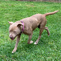 Thumbnail photo of Peep #2