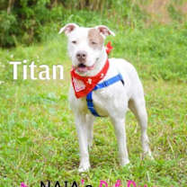 Thumbnail photo of Titan #2