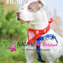Thumbnail photo of Titan #3