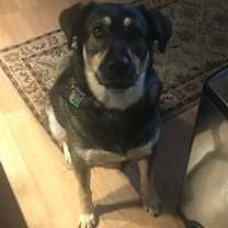 Thumbnail photo of Dexter W. #1