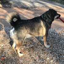 Thumbnail photo of Dexter W. #2