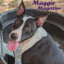 Thumbnail photo of Maggie Magazine #2