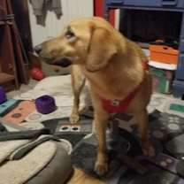 Thumbnail photo of Afton #2