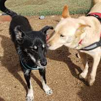 Thumbnail photo of Bibi - gorgeous eyes:) #3