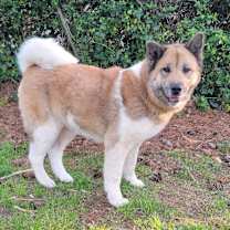 Thumbnail photo of Lulu #3