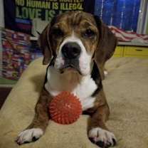 Thumbnail photo of Tessa #4