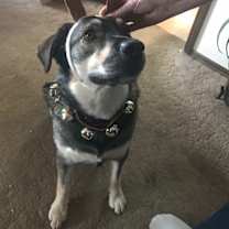 Thumbnail photo of Dexter W. #3