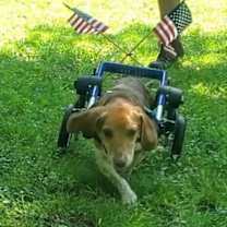 Thumbnail photo of Stewart #4