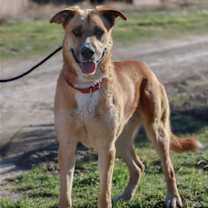 Thumbnail photo of Teto #3