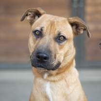 Thumbnail photo of Bristol #2