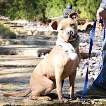 Thumbnail photo of Spunky #1