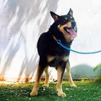 Thumbnail photo of Hunter #2