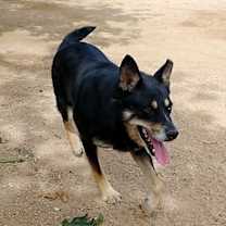 Thumbnail photo of Hunter #4