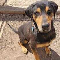Thumbnail photo of Jake #1