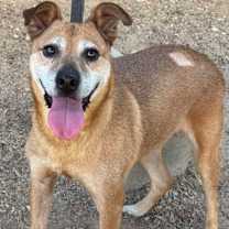 Thumbnail photo of Yah-Yah #1