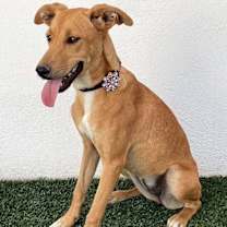 Thumbnail photo of Phyllis #2