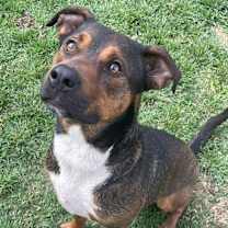 Thumbnail photo of Sax #1