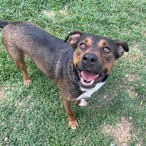 Thumbnail photo of Sax #2