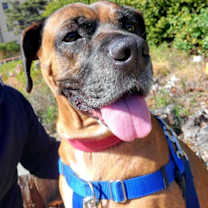 Thumbnail photo of Zeus #1