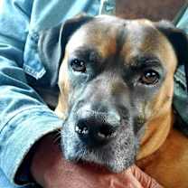 Thumbnail photo of Zeus #2