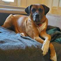 Thumbnail photo of Zeus #4