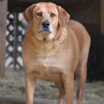 Thumbnail photo of Mae (Trinity) #2