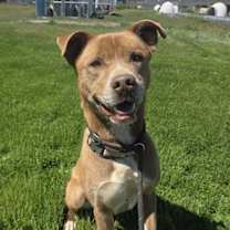 Thumbnail photo of Monty #1