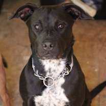 Thumbnail photo of Tomoe Gozen #3