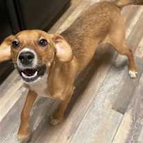 Thumbnail photo of Mae #2