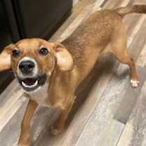 Thumbnail photo of Mae #3