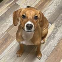 Thumbnail photo of Mae #4