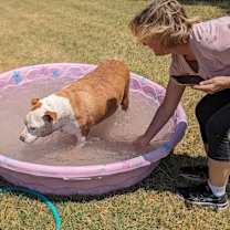 Thumbnail photo of Odin #4