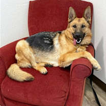 Thumbnail photo of Isla #1