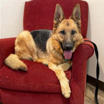 Thumbnail photo of Isla #4