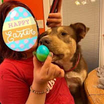 Thumbnail photo of Mowgli #3