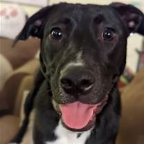 Thumbnail photo of Lane #2