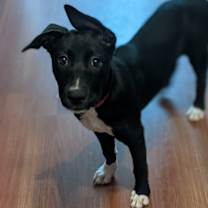 Thumbnail photo of Lane #3