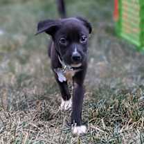 Thumbnail photo of Lane #4