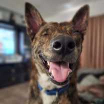 Thumbnail photo of Jack #2