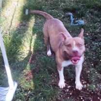 Thumbnail photo of Athena ~ Courtesy Post #2