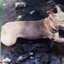 Thumbnail photo of Athena ~ Courtesy Post #3