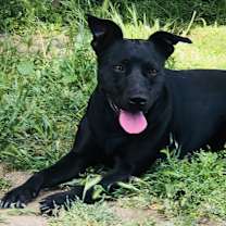 Thumbnail photo of Zyppr #1