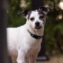 Thumbnail photo of Wendall #2